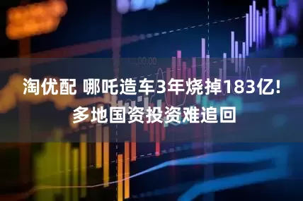 淘优配 哪吒造车3年烧掉183亿! 多地国资投资难追回